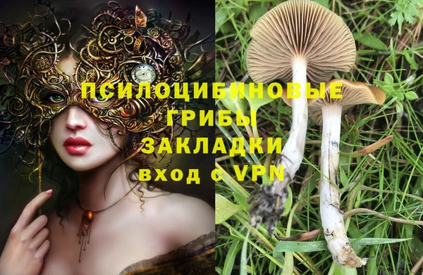 таблы Арсеньев