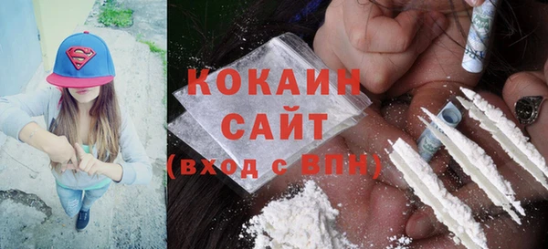 мяу мяу мука Аркадак