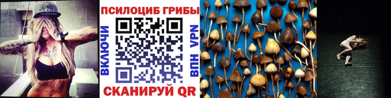 Галлюциногенные грибы Psilocybe  Купить где  Томск 